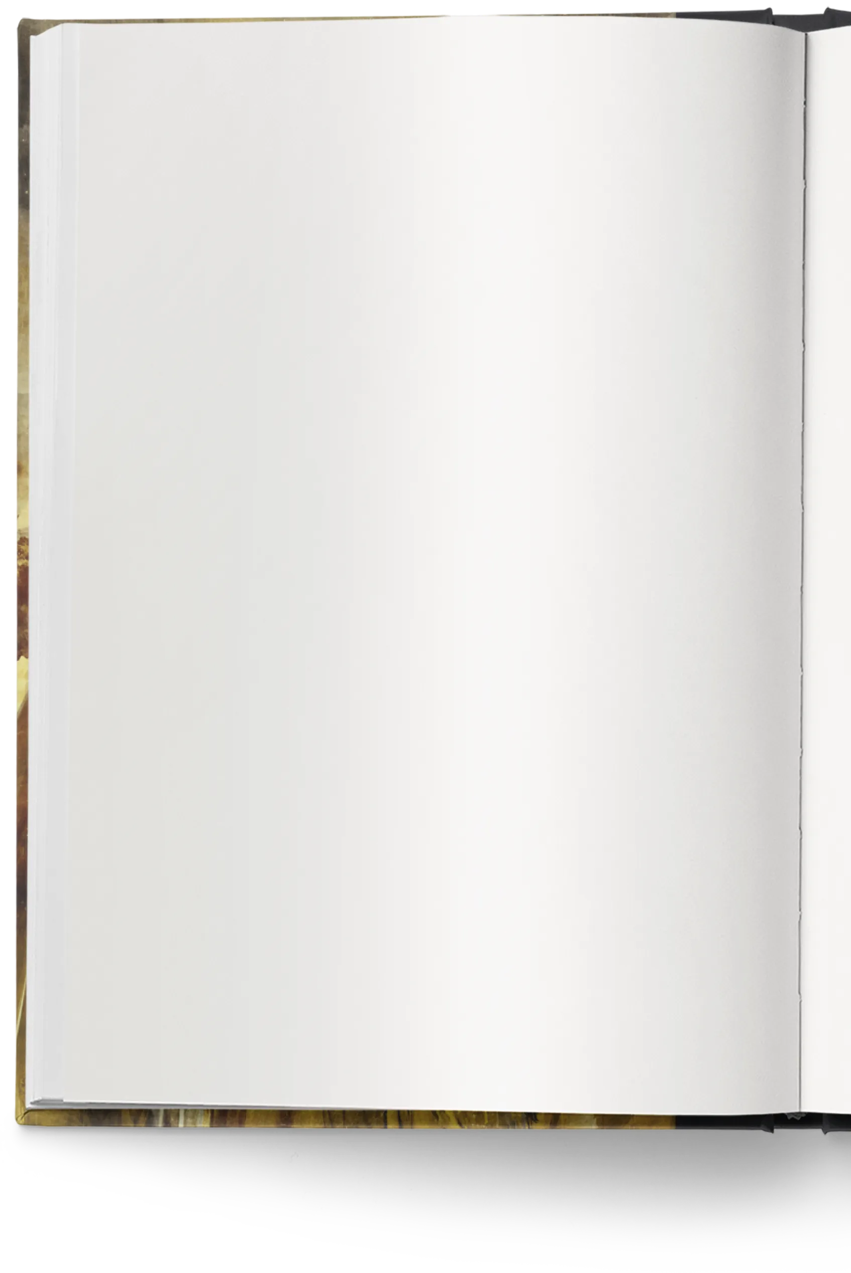 libro abierto vacio_tablet